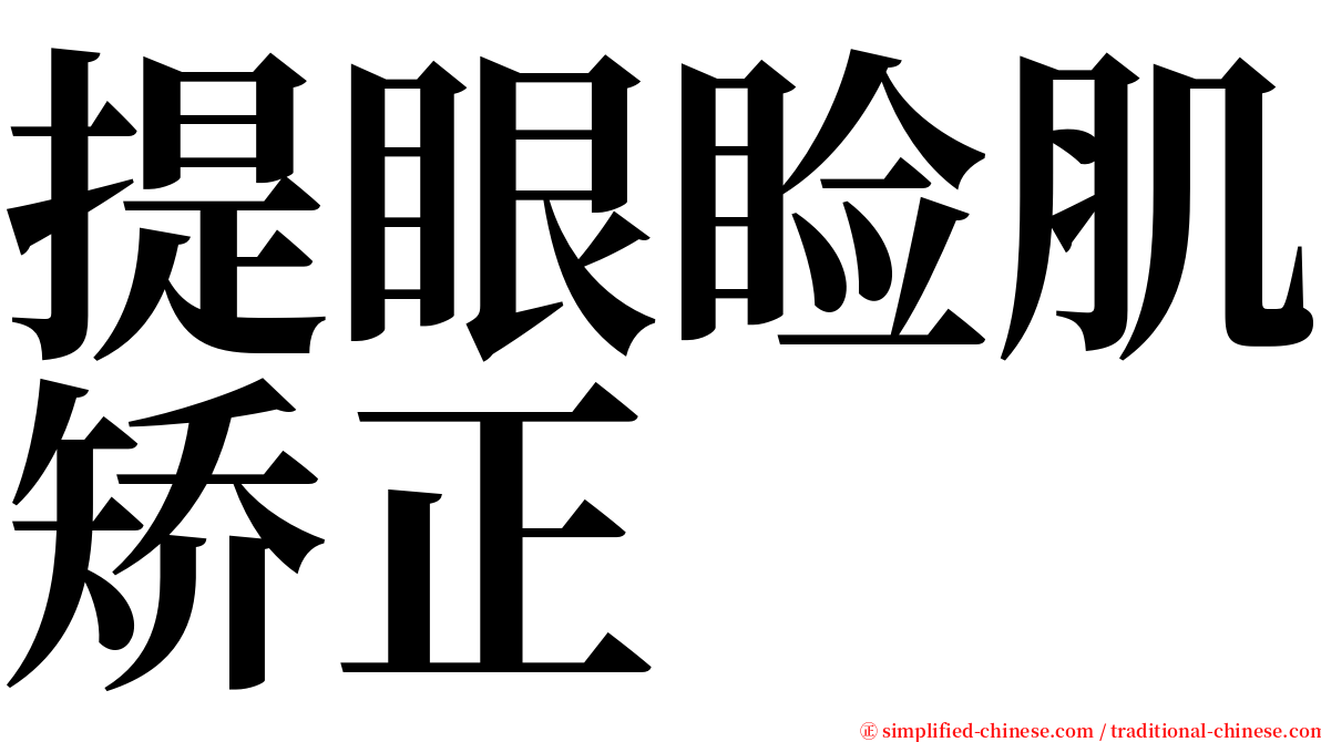 提眼睑肌矫正 serif font