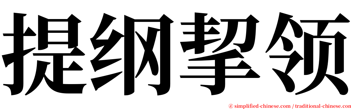 提纲挈领 serif font