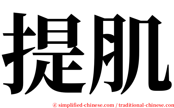 提肌 serif font