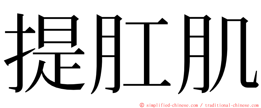 提肛肌 ming font