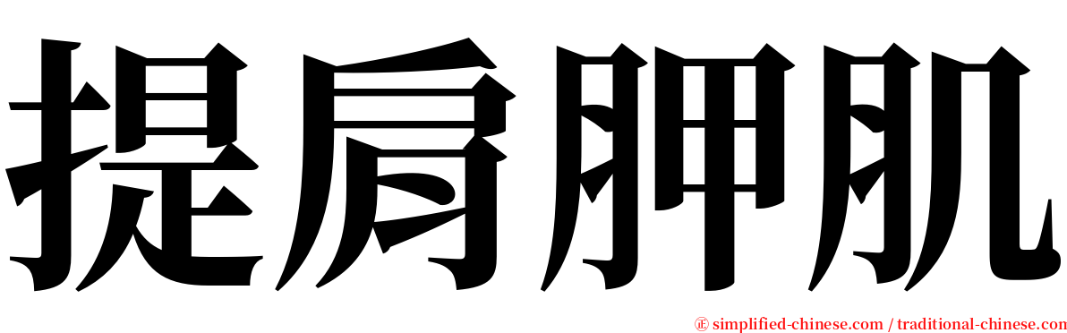 提肩胛肌 serif font