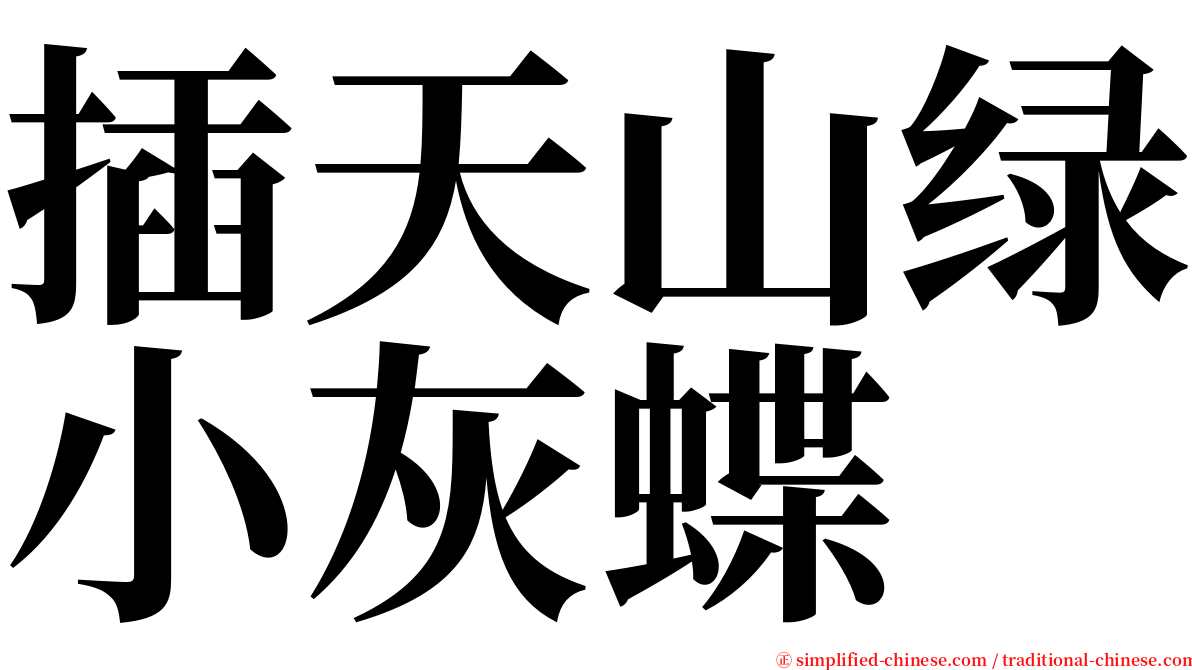 插天山绿小灰蝶 serif font