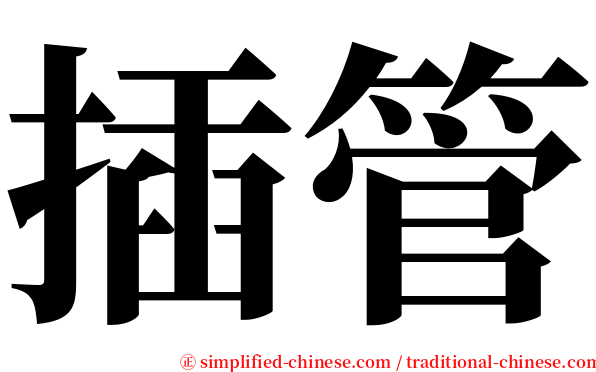 插管 serif font