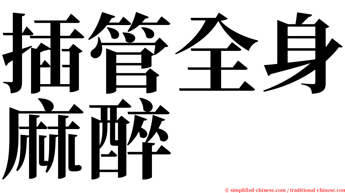 插管全身麻醉 serif font