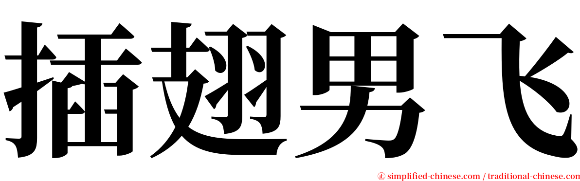 插翅男飞 serif font