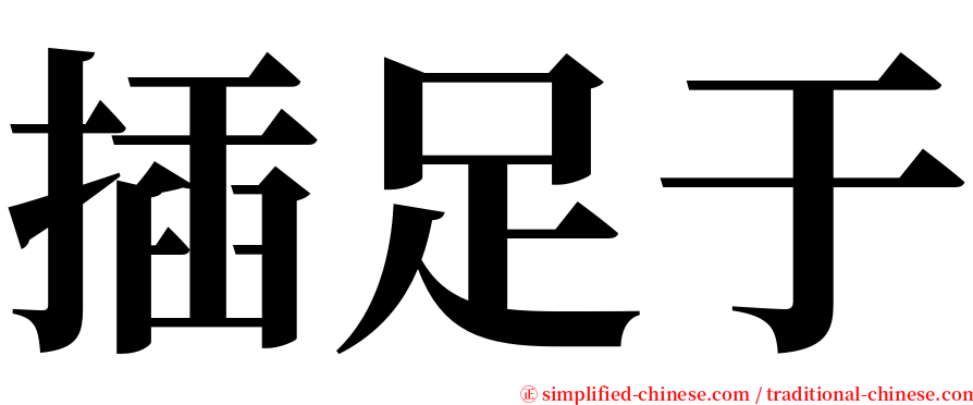 插足于 serif font