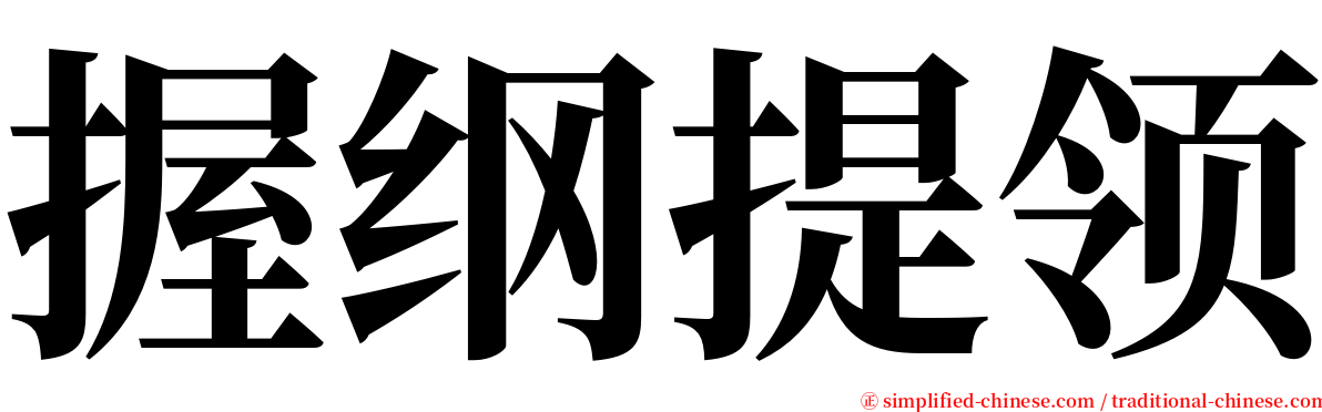 握纲提领 serif font