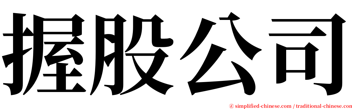 握股公司 serif font