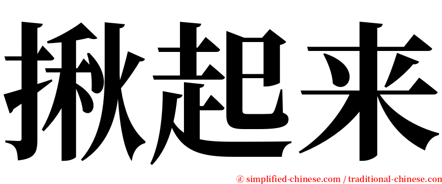 揪起来 serif font