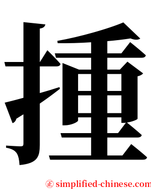 揰 serif font