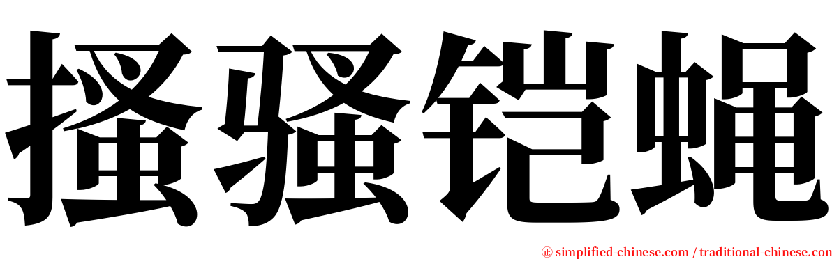 搔骚铠蝇 serif font