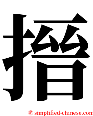 搢 serif font