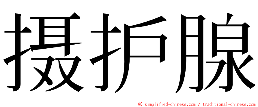 摄护腺 ming font