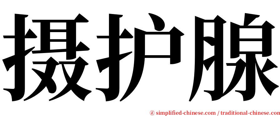 摄护腺 serif font