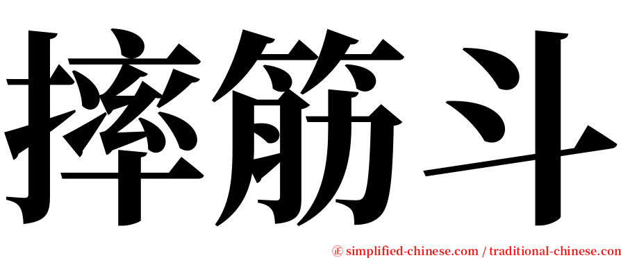 摔筋斗 serif font