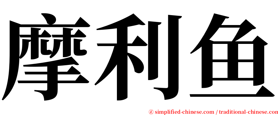 摩利鱼 serif font