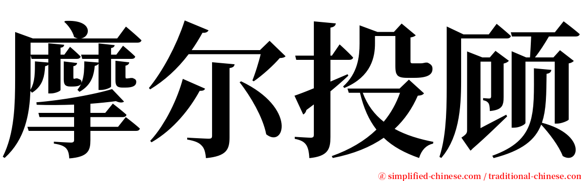 摩尔投顾 serif font