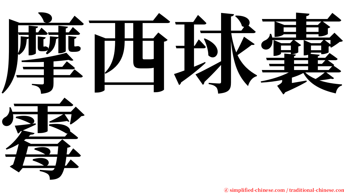 摩西球囊霉 serif font