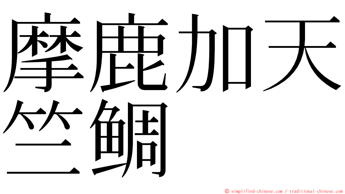 摩鹿加天竺鲷 ming font