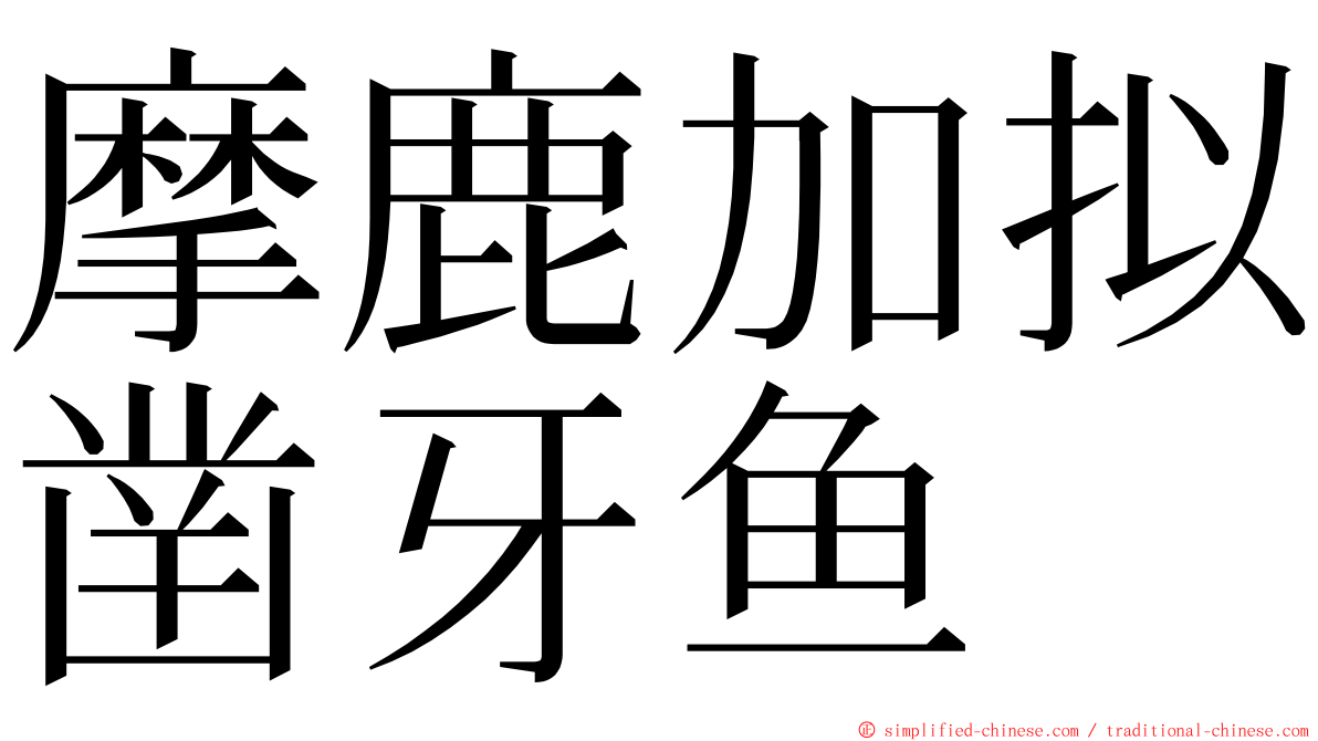 摩鹿加拟凿牙鱼 ming font