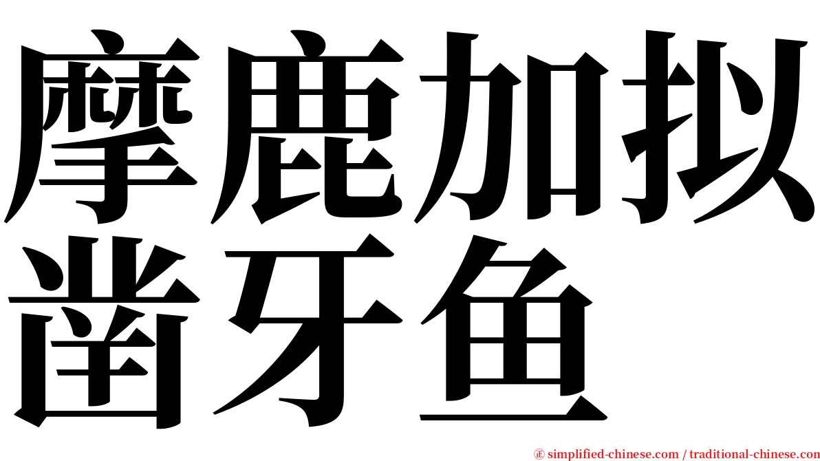 摩鹿加拟凿牙鱼 serif font