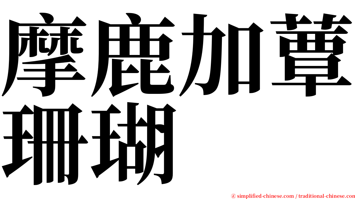 摩鹿加蕈珊瑚 serif font