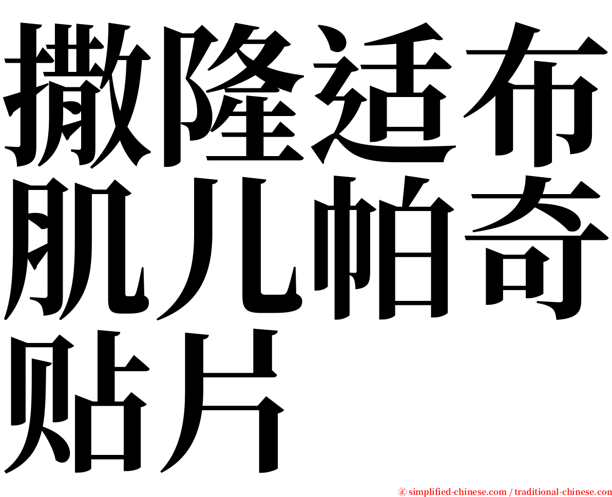 撒隆适布肌儿帕奇贴片 serif font