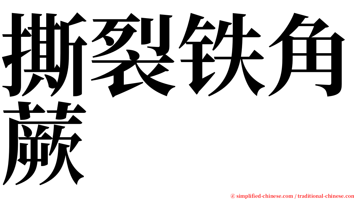 撕裂铁角蕨 serif font