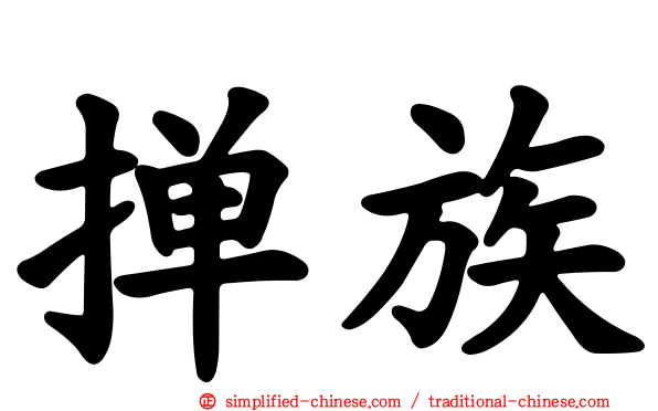 掸族