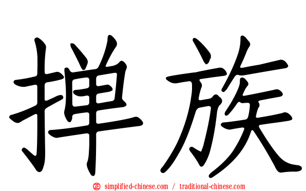 掸族