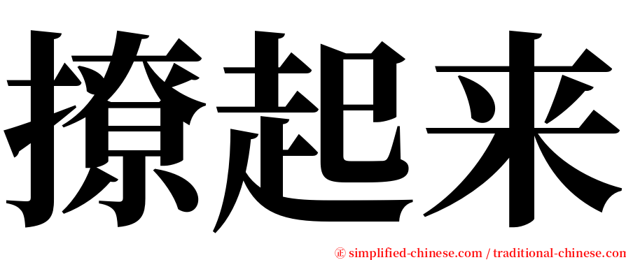 撩起来 serif font