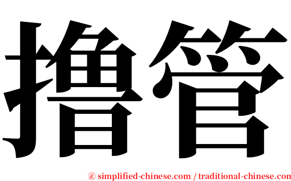 撸管 serif font