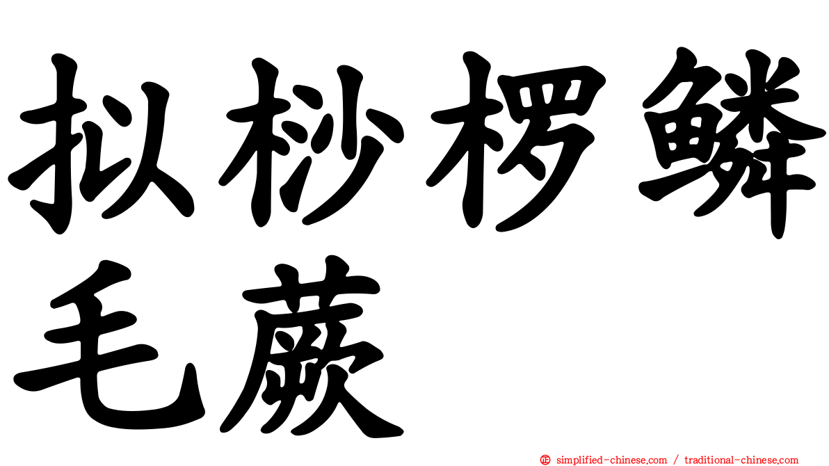 拟桫椤鳞毛蕨