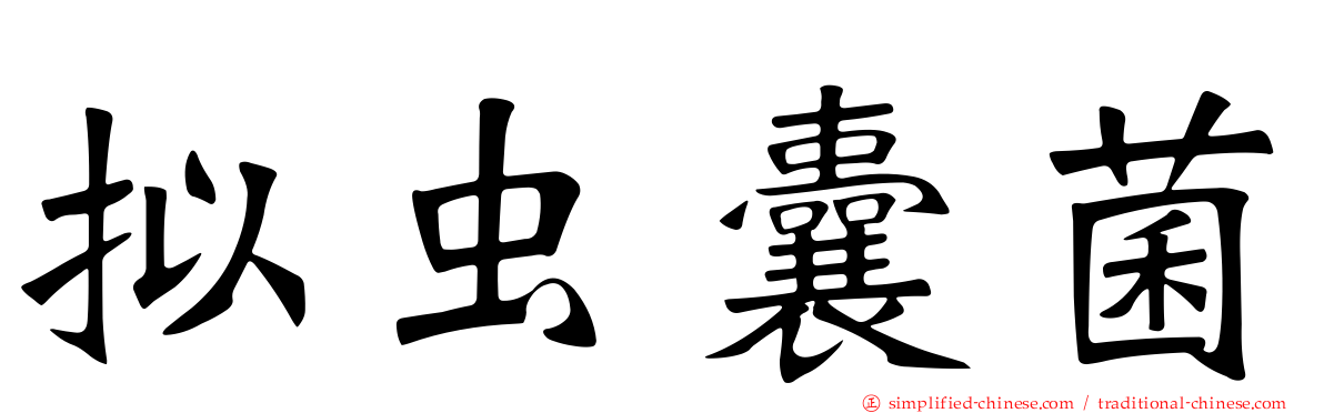 拟虫囊菌