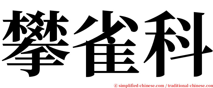 攀雀科 serif font