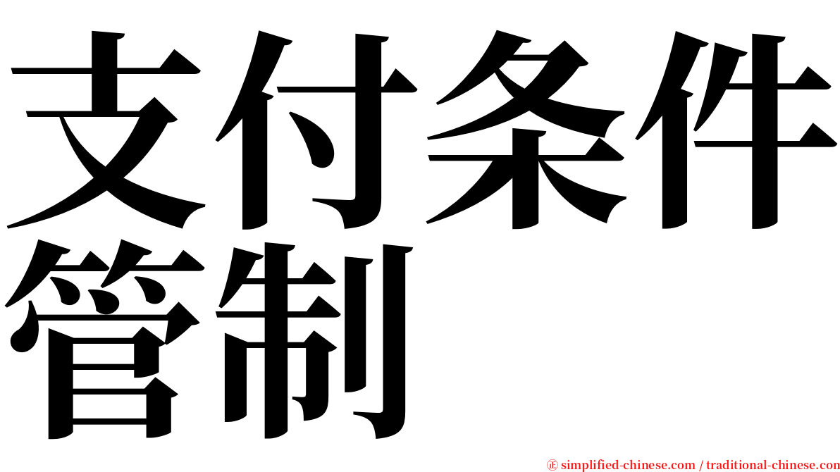 支付条件管制 serif font