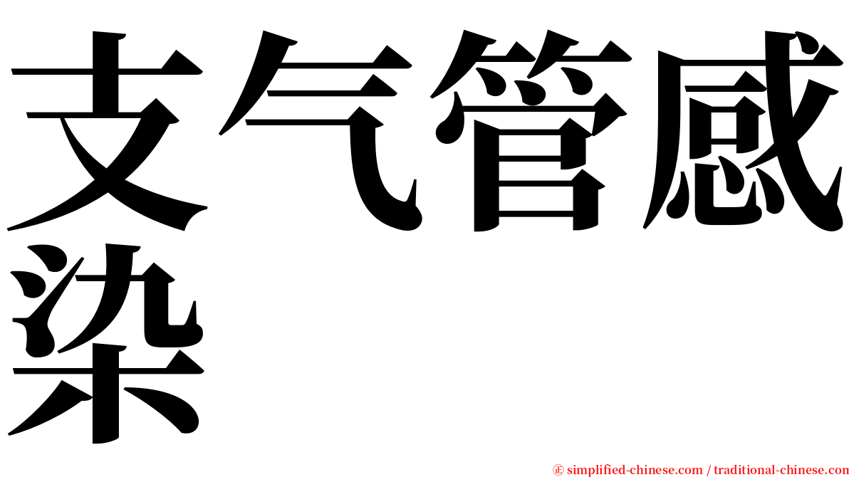 支气管感染 serif font