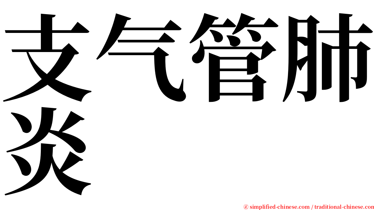 支气管肺炎 serif font