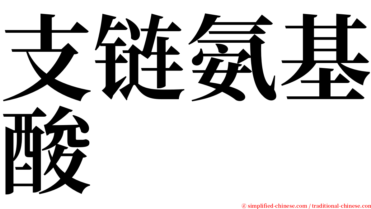 支链氨基酸 serif font