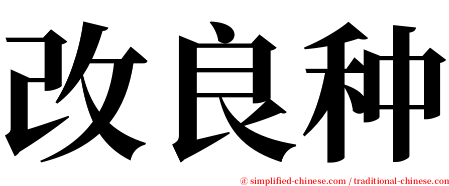 改良种 serif font