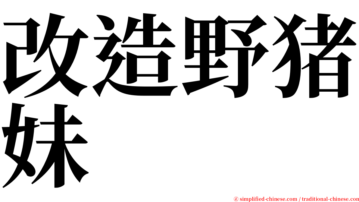 改造野猪妹 serif font