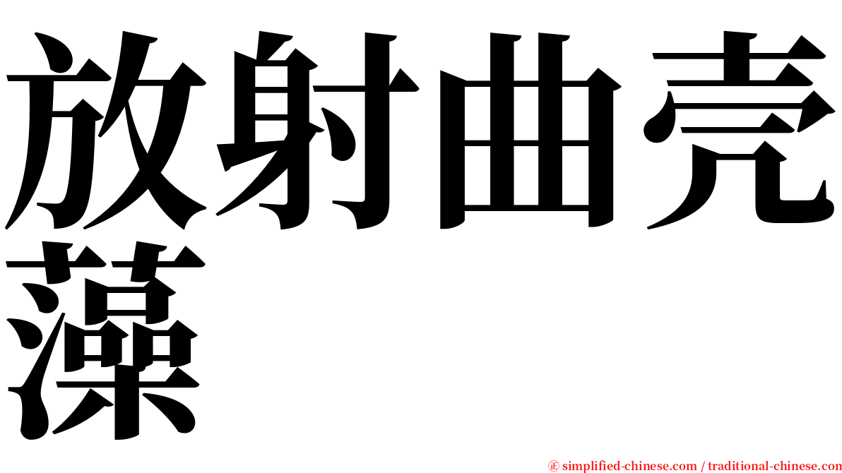 放射曲壳藻 serif font