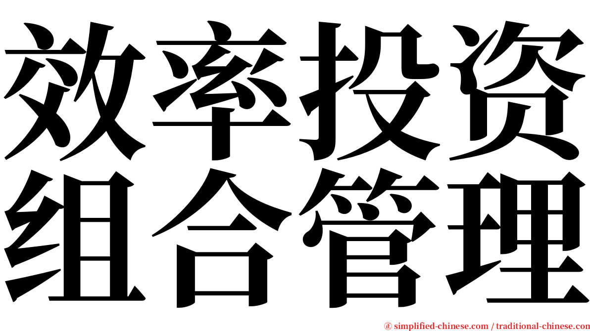 效率投资组合管理 serif font