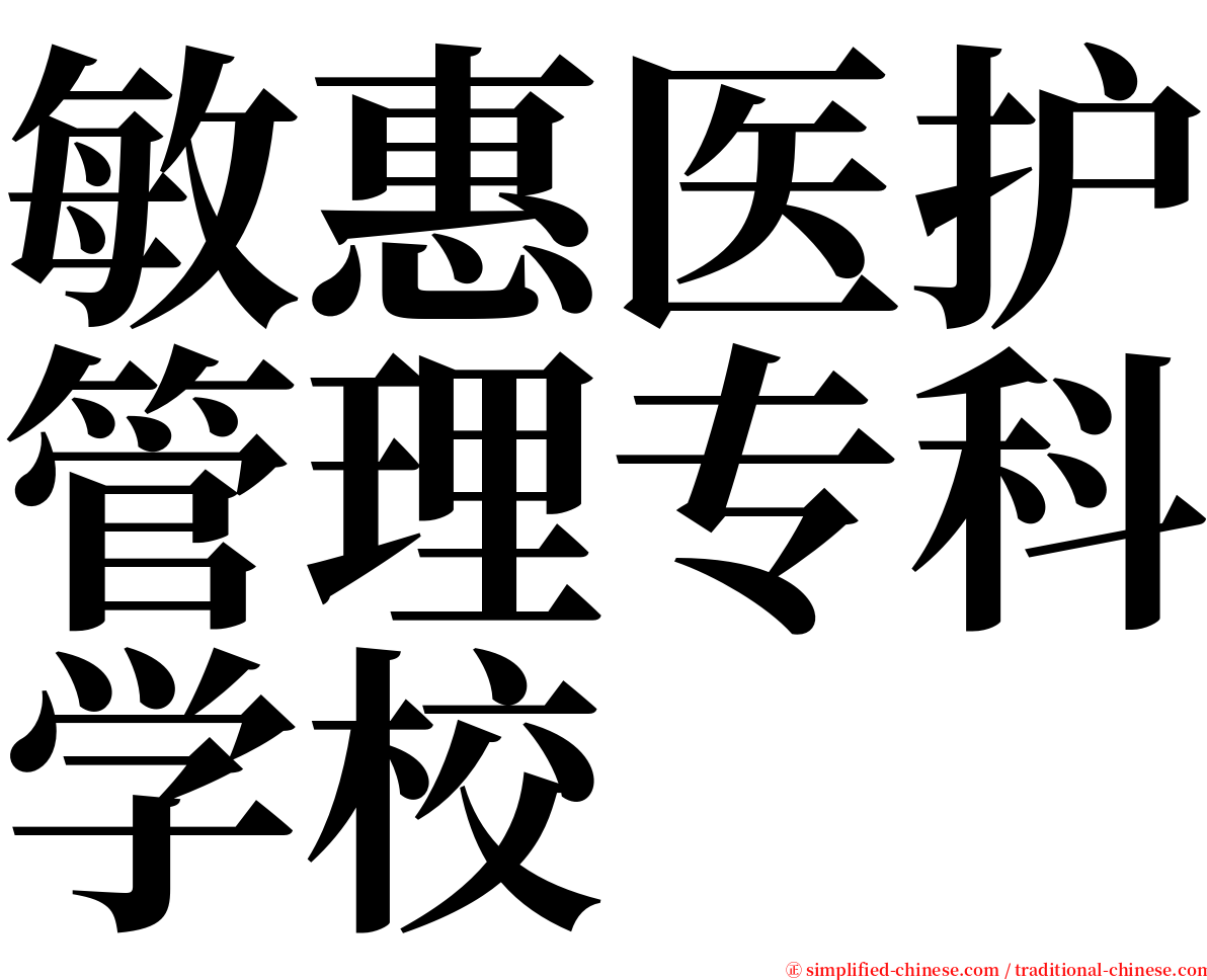 敏惠医护管理专科学校 serif font