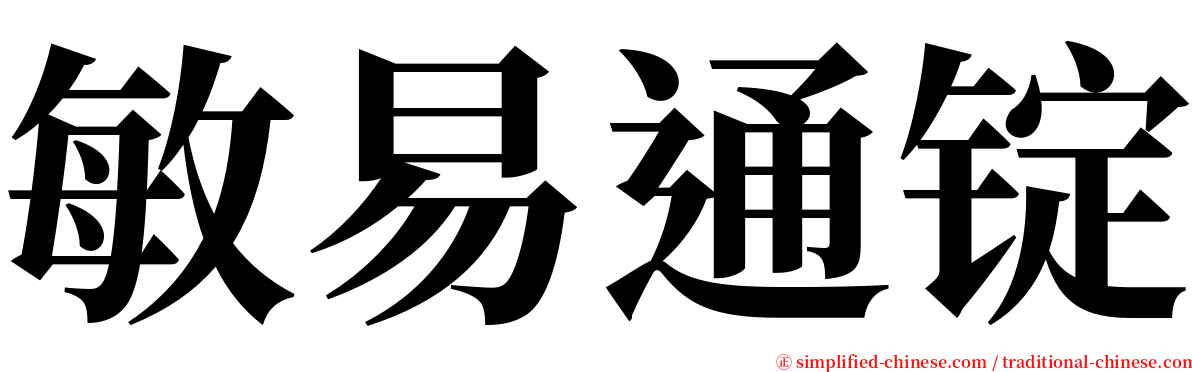 敏易通锭 serif font