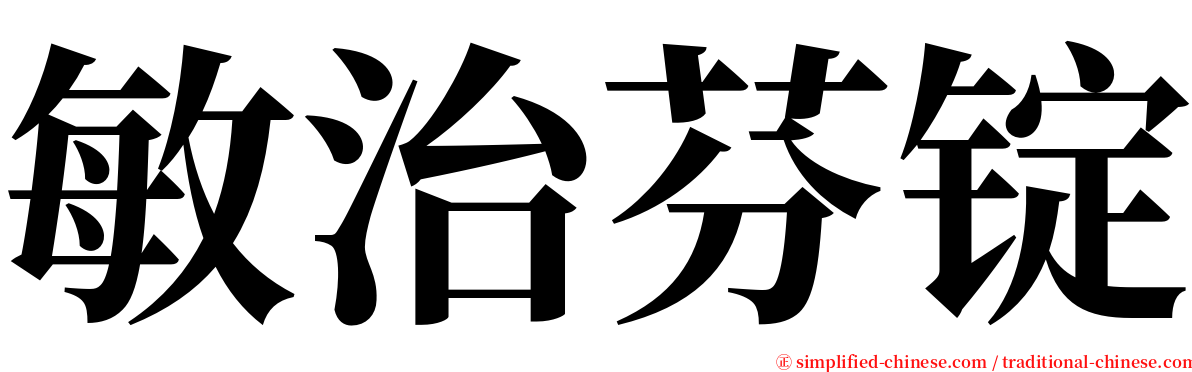 敏治芬锭 serif font