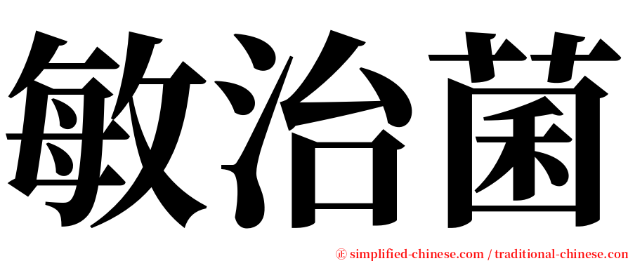 敏治菌 serif font