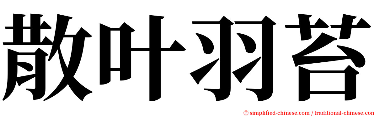 散叶羽苔 serif font