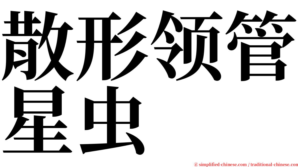 散形领管星虫 serif font