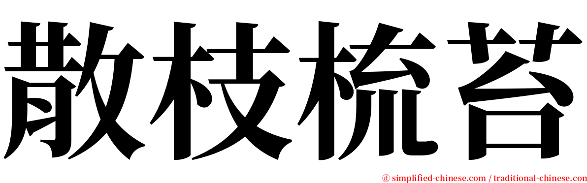散枝梳苔 serif font
